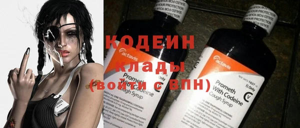 кокс Алексин