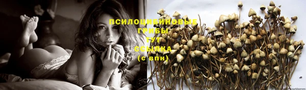 синтетический гашиш Алексеевка