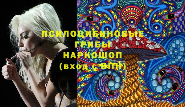 кокс Алексин