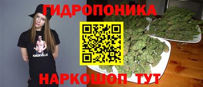 шишки Волгодонск