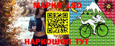 шишки Волгодонск