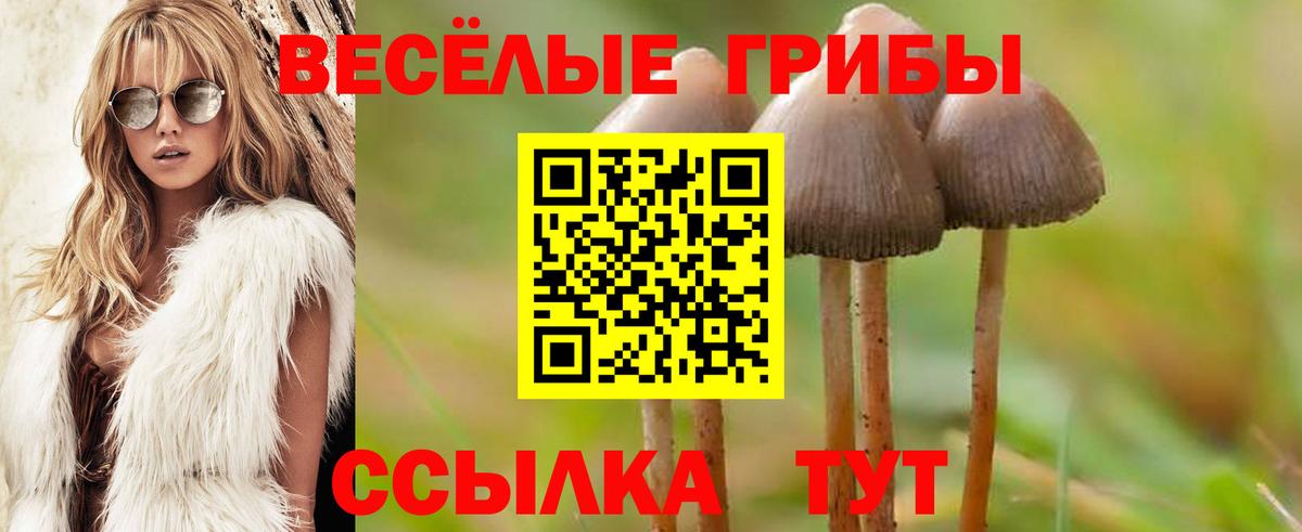 Галлюциногенные грибы MAGIC MUSHROOMS  Вход с VPN  Нижнеудинск 